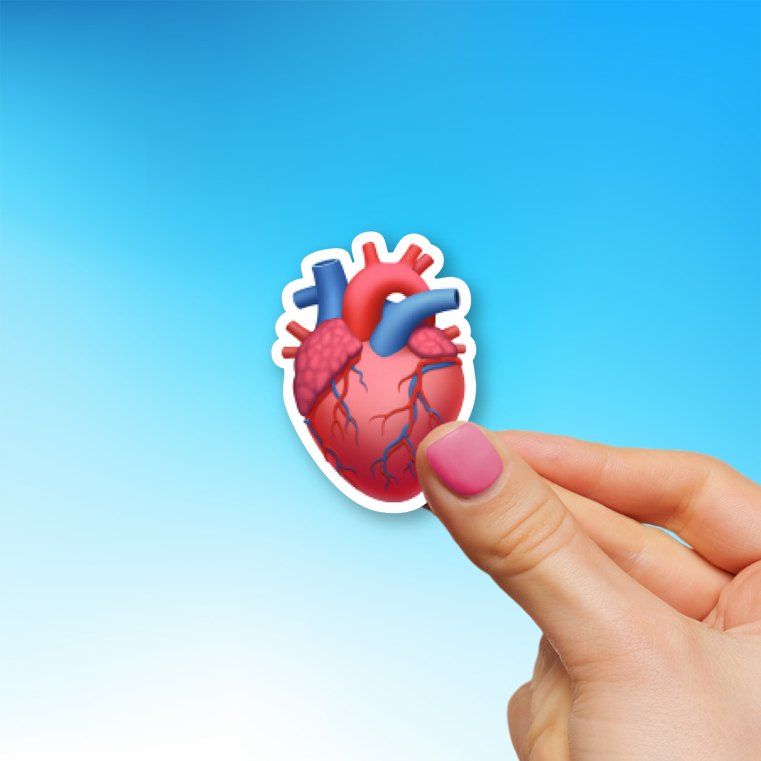 Anatomical Heart Emoji