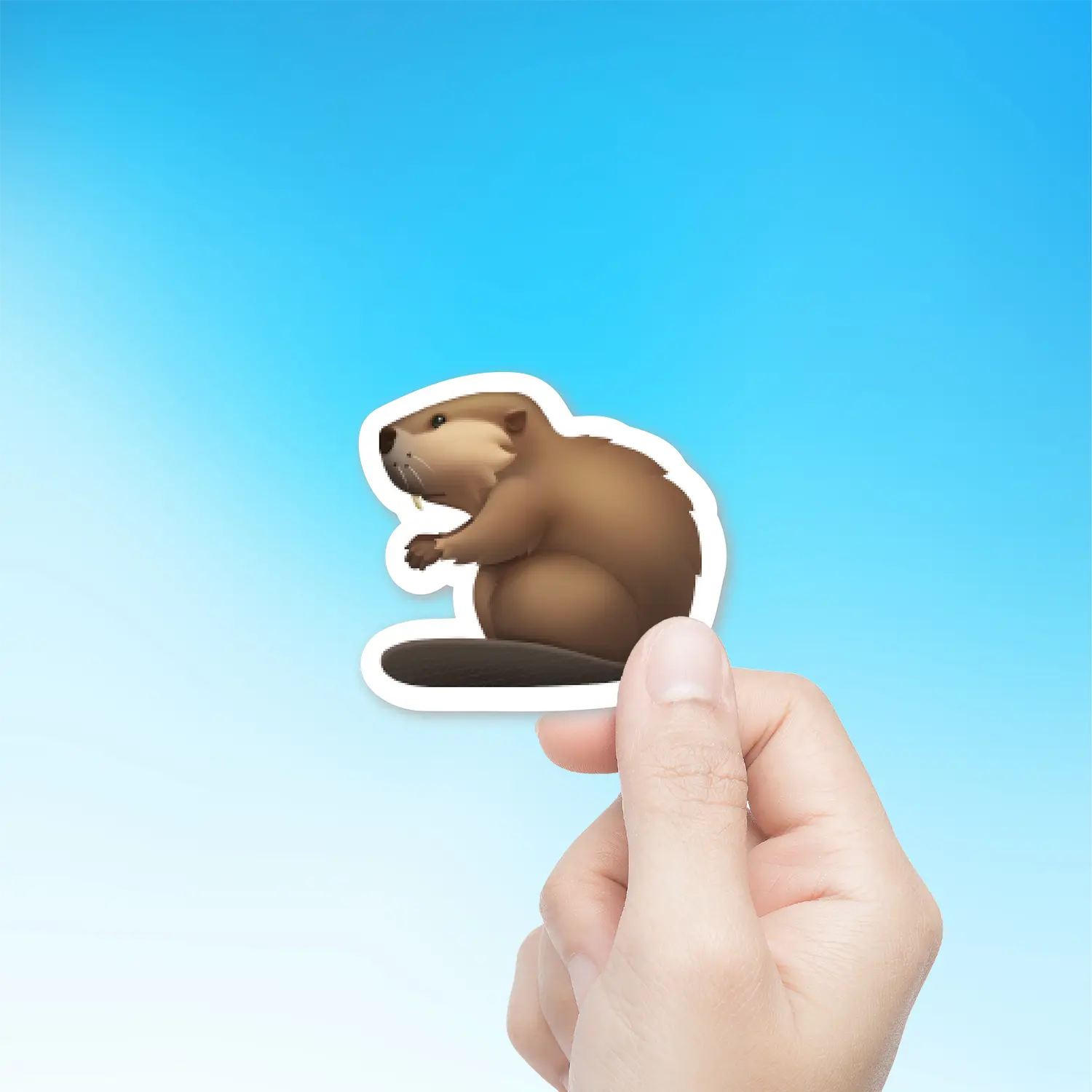 Beaver