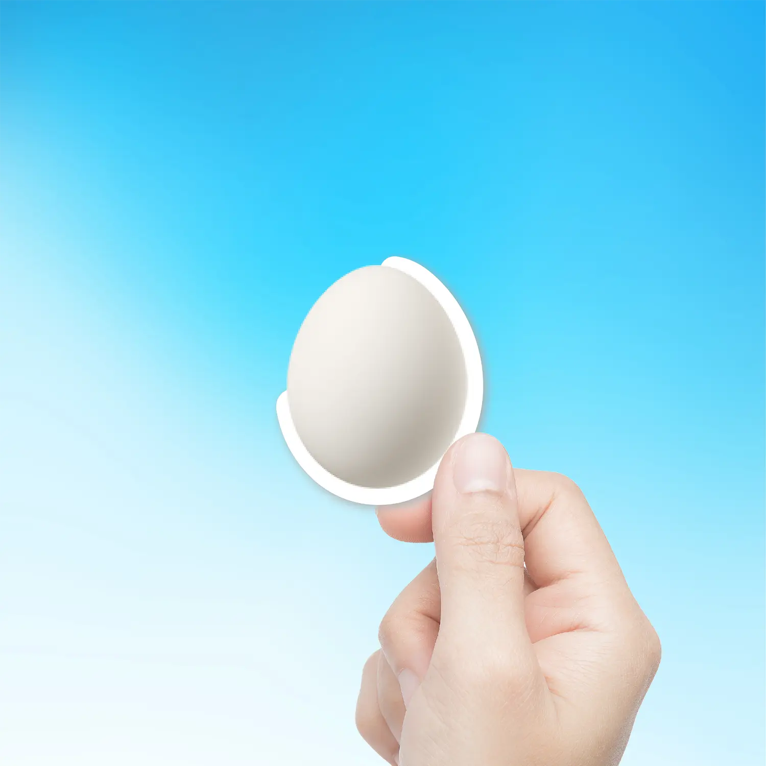 Egg