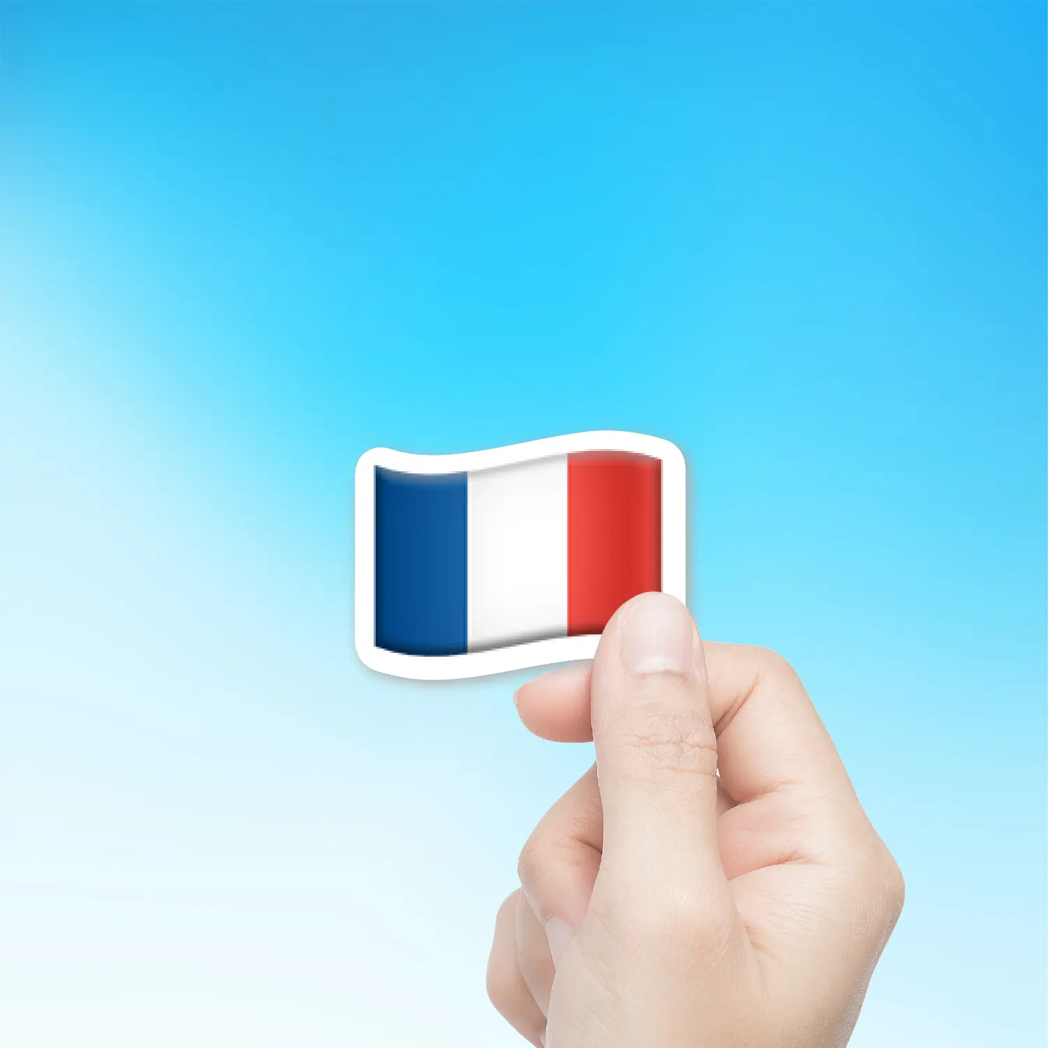 Flag Of France