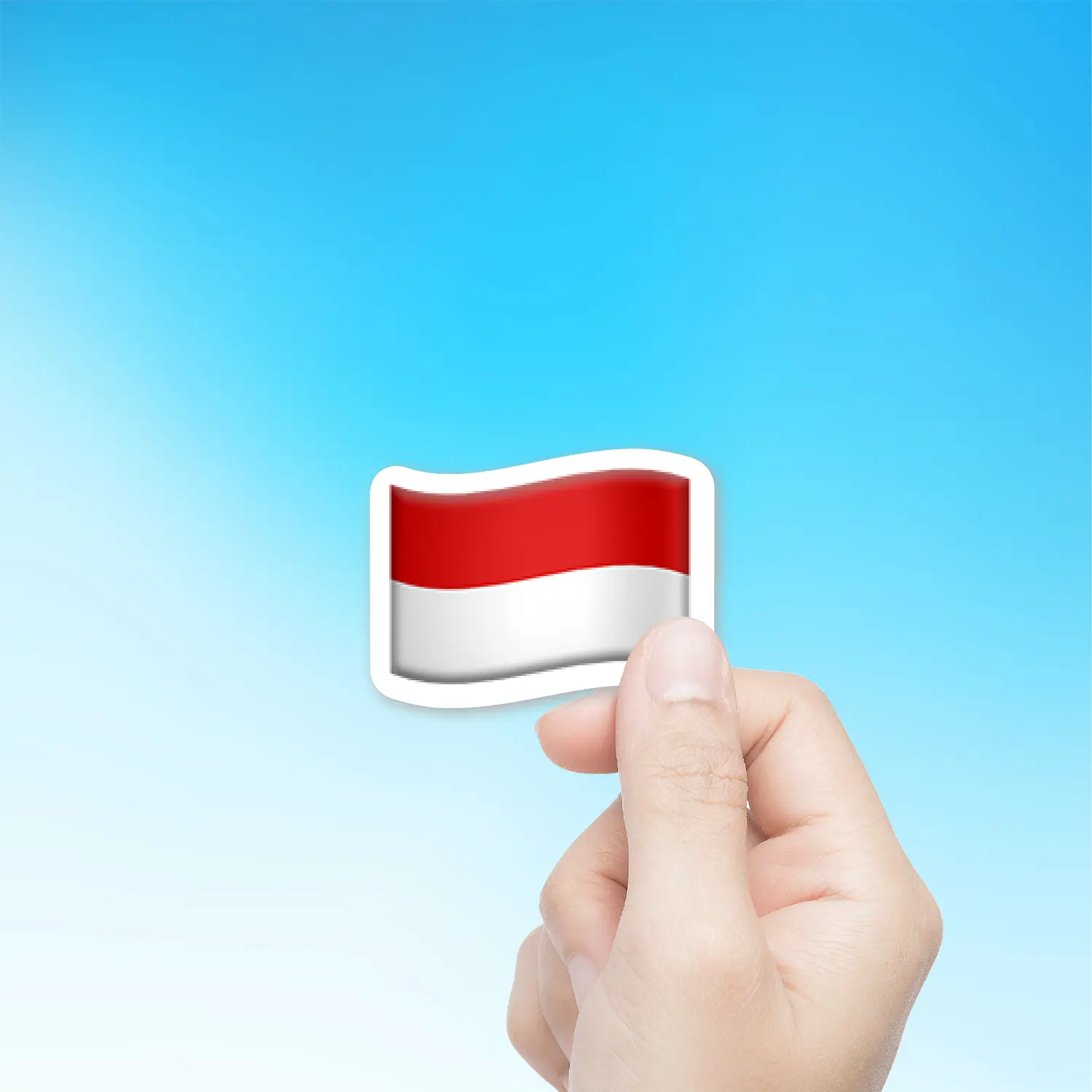 Flag Of Indonesia