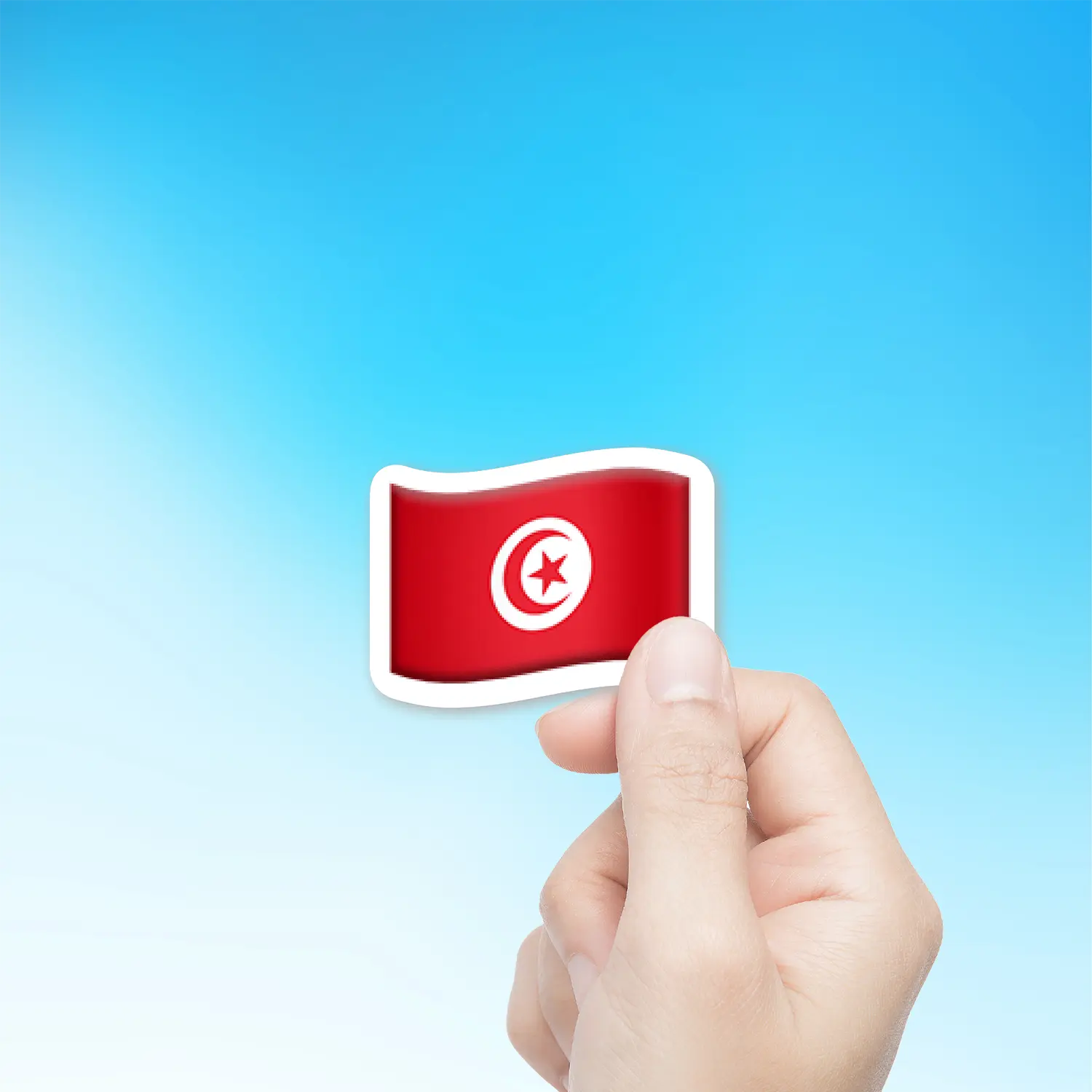 Flag Of Tunisia