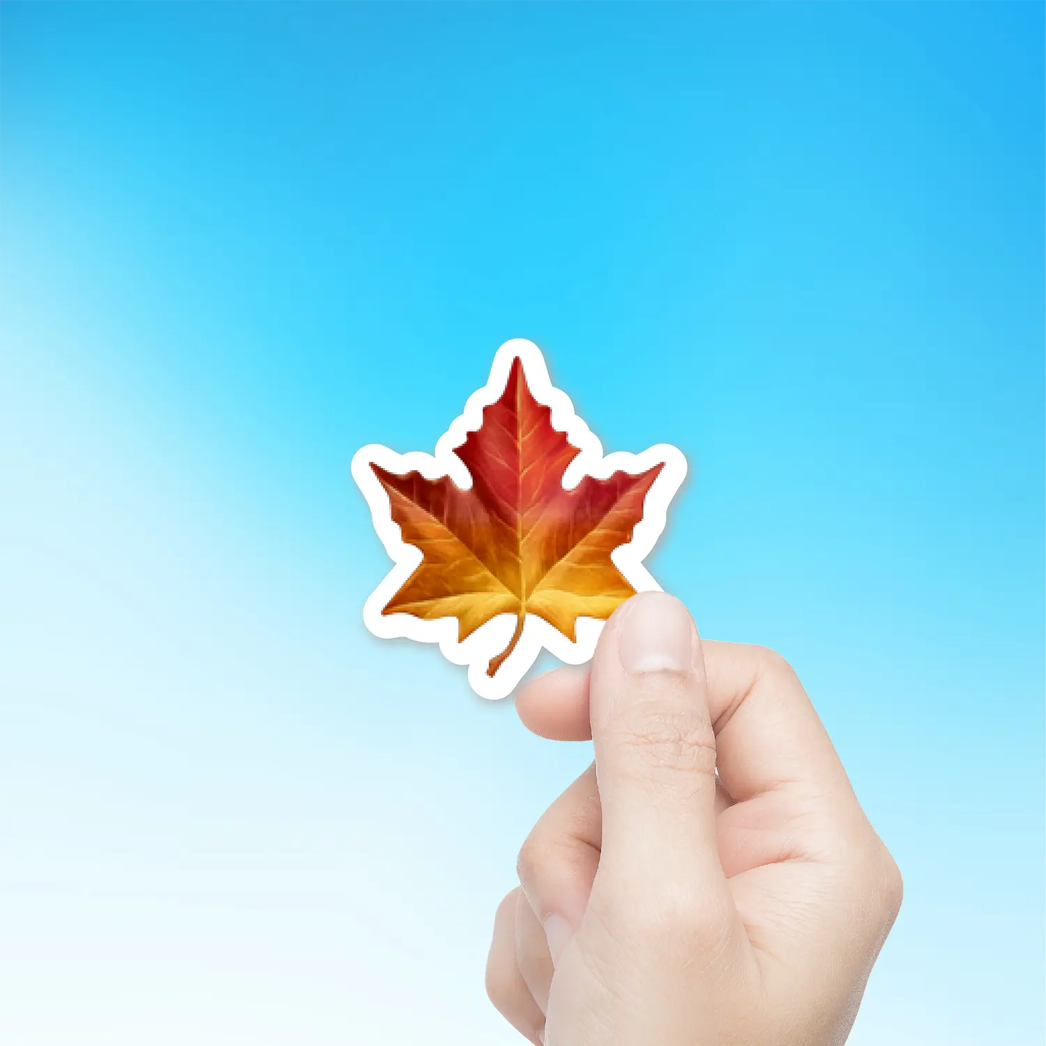 Maple Leaf