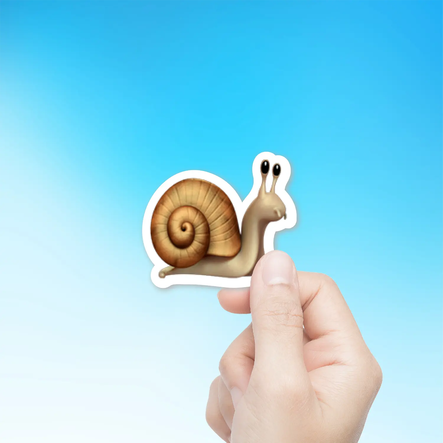 Snail