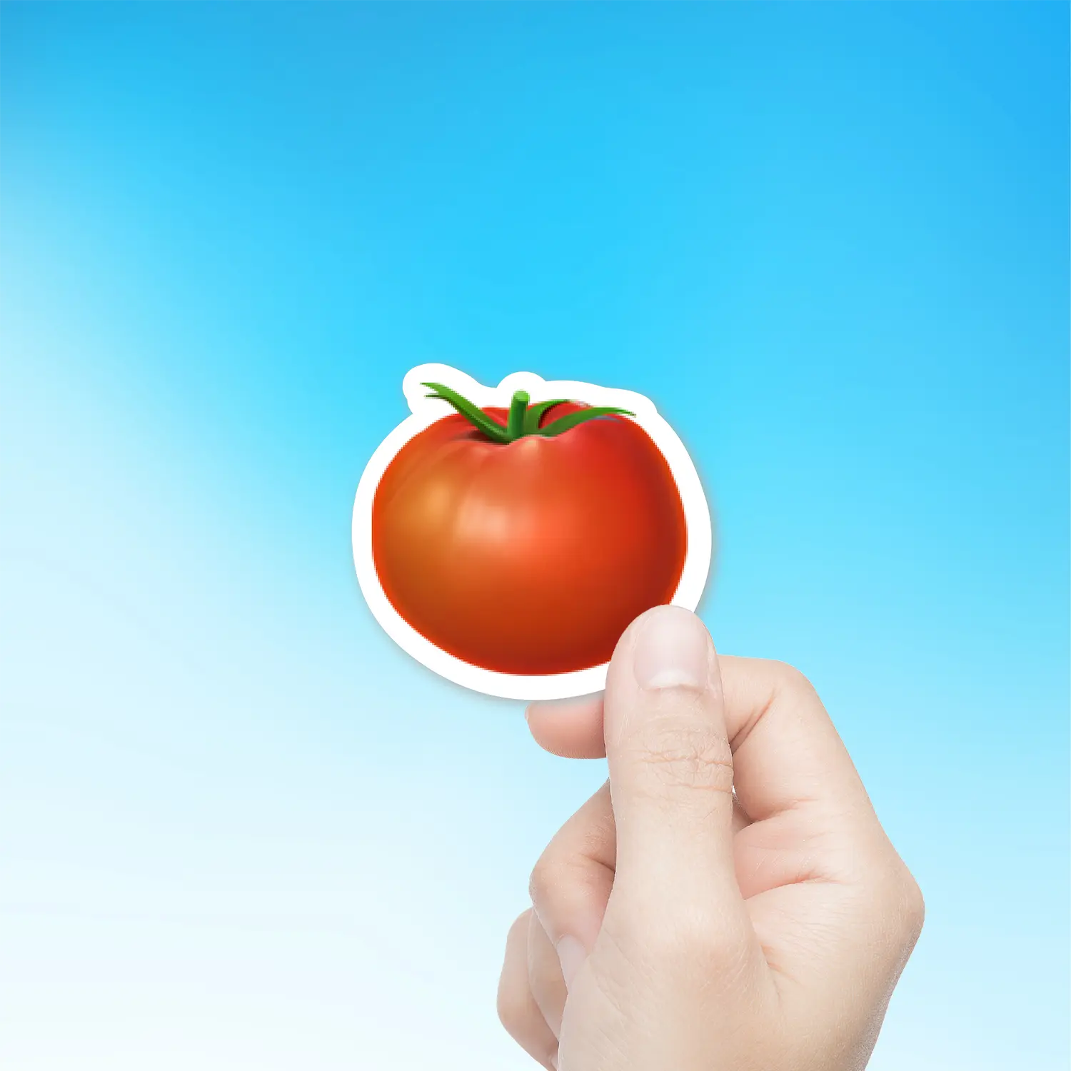 Tomato