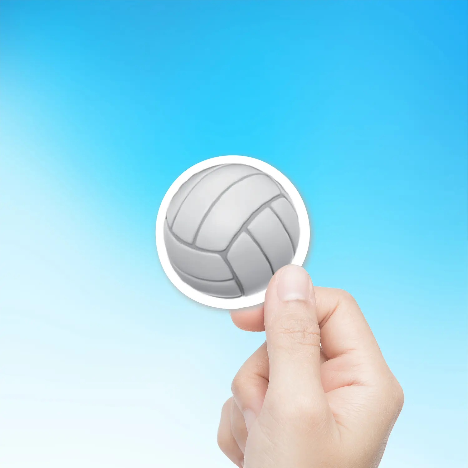 Volleyball